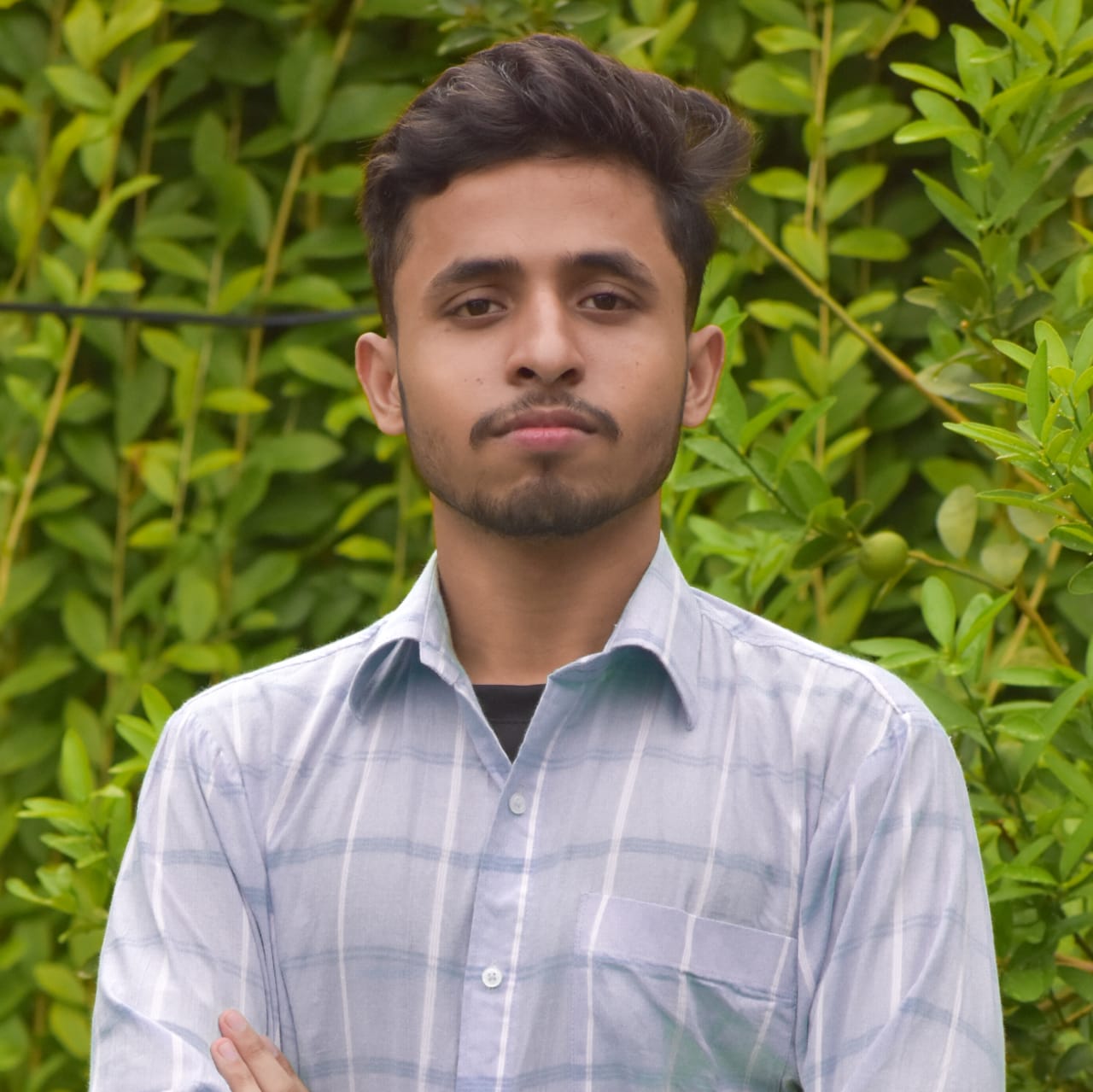 Hussnain Ali